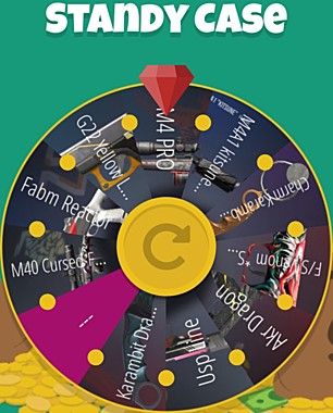 Standy Case